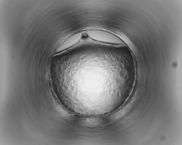 X0000091490857200709061859