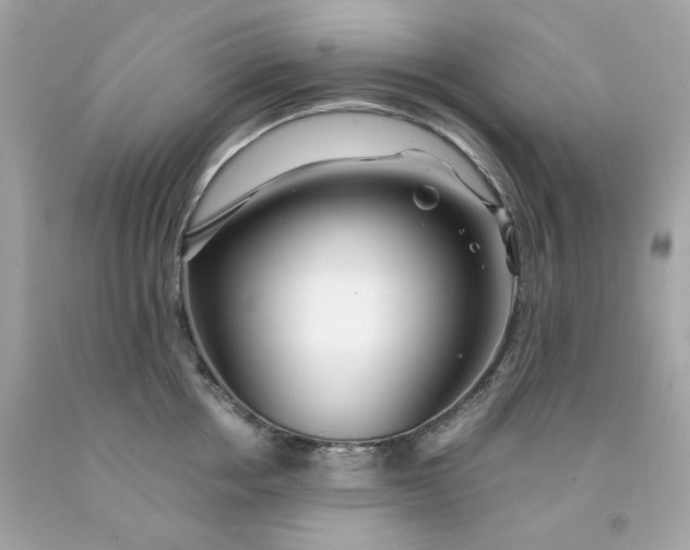 X0000091490858200709061859