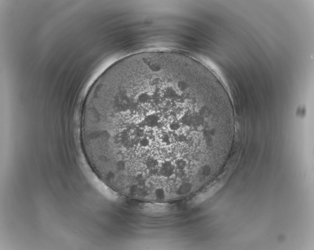 X0000091490859200709061859