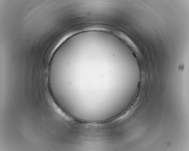 X0000091490860200709061859