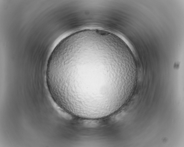 X0000091490861200709061859