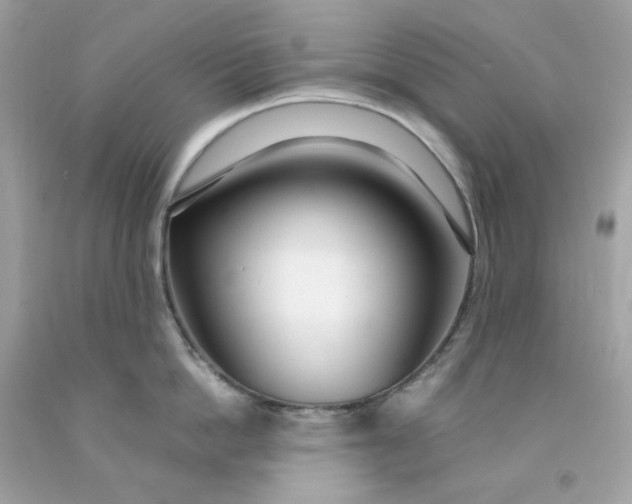 X0000091490862200709061859