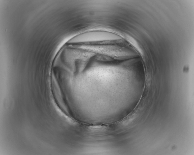 X0000091490863200709061859