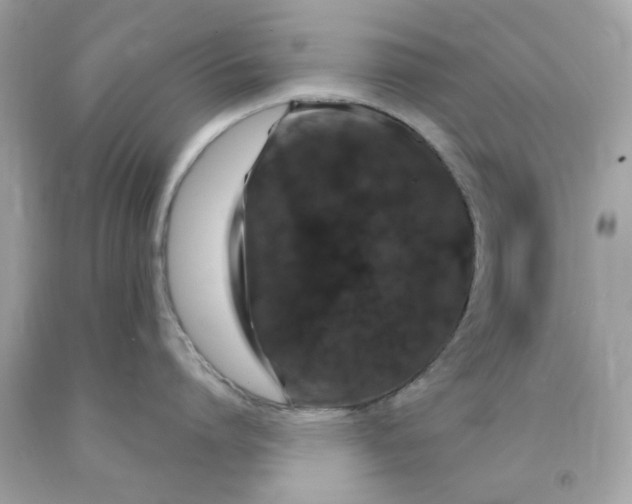 X0000091490864200709061859