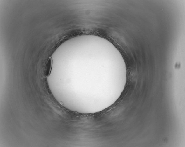 X0000091490865200709061859