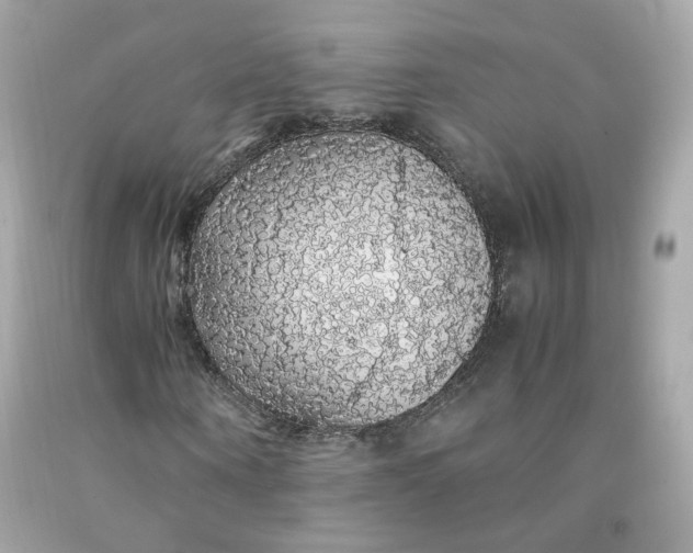 X0000091490866200709061859