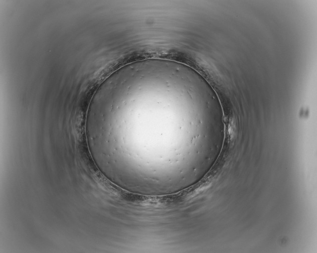 X0000091490867200709061859