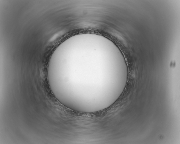 X0000091490869200709061859