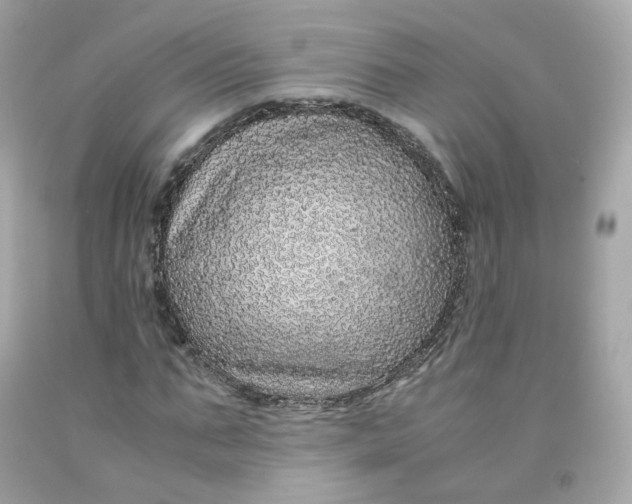 X0000091490871200709061859