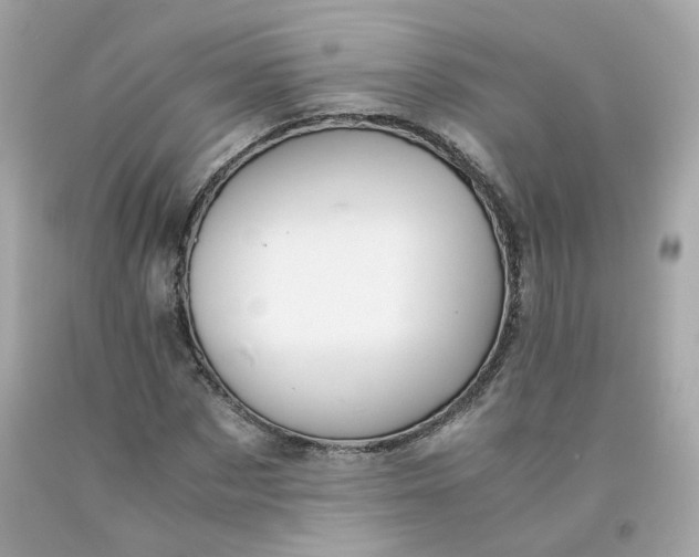 X0000091490873200709061859