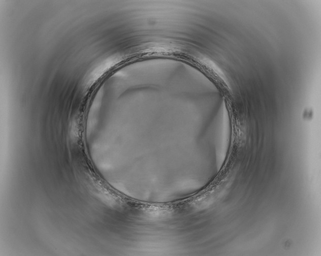 X0000091490874200709061859