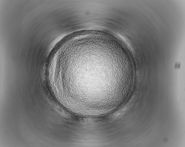 X0000091490875200709061859