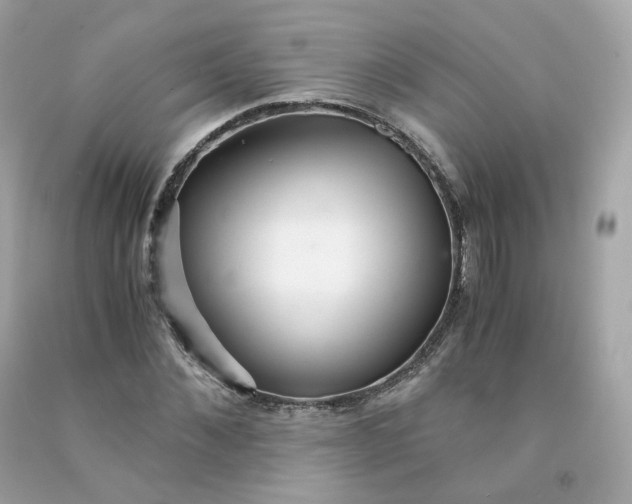 X0000091490876200709061859