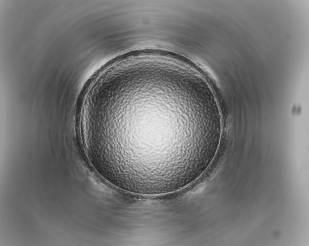 X0000091490877200709061858