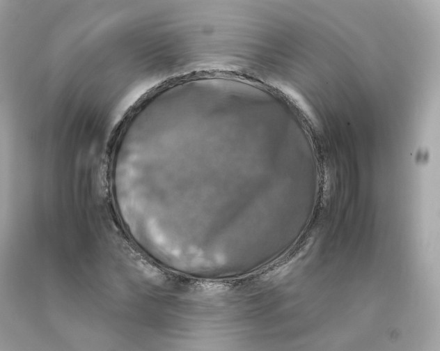 X0000091490878200709061858