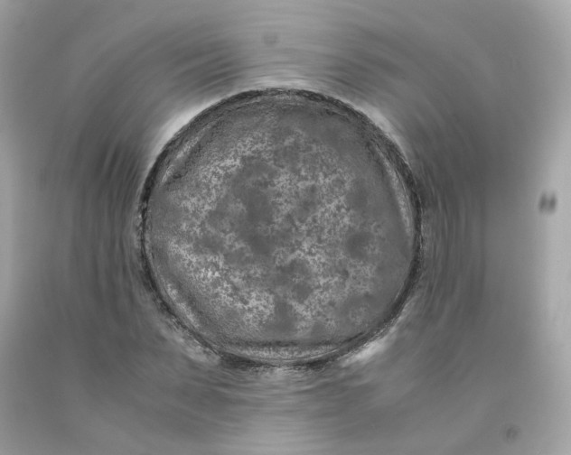 X0000091490879200709061858