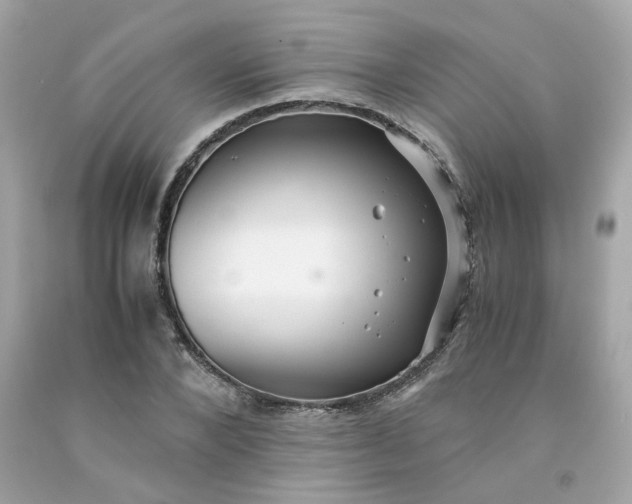 X0000091490880200709061858