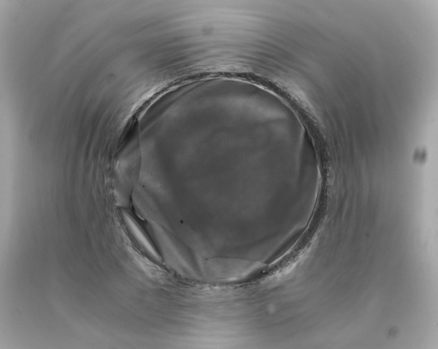 X0000091490881200709061858