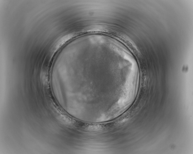 X0000091490882200709061858