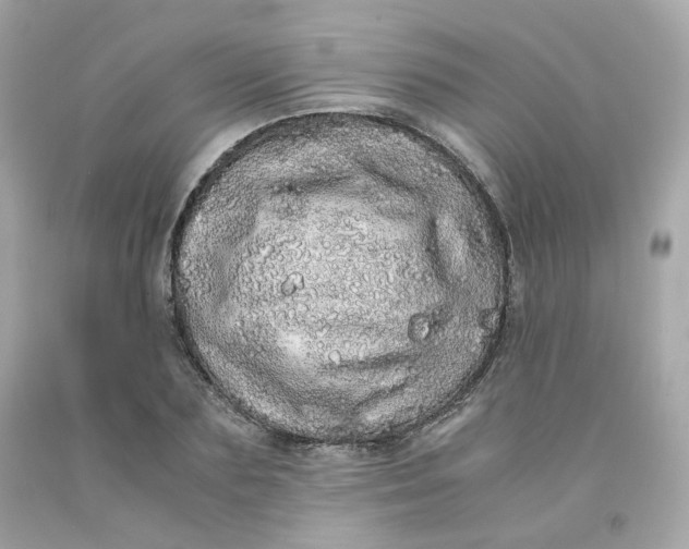 X0000091490883200709061858