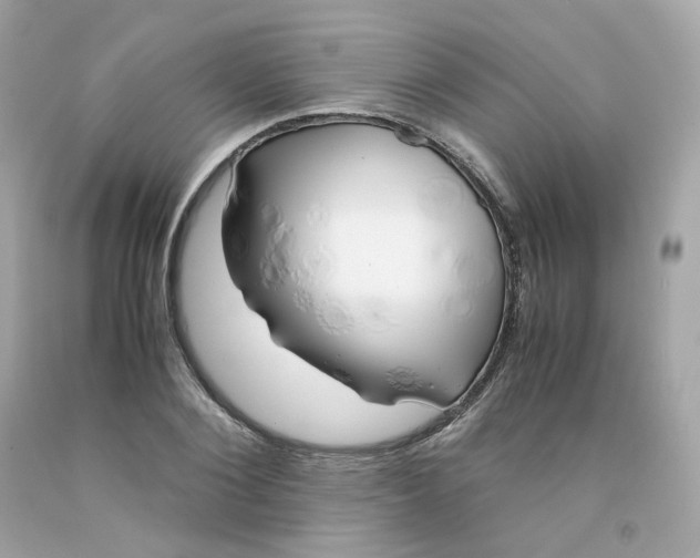 X0000091490884200709061858