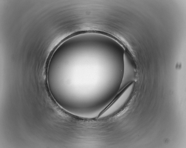 X0000091490885200709061858