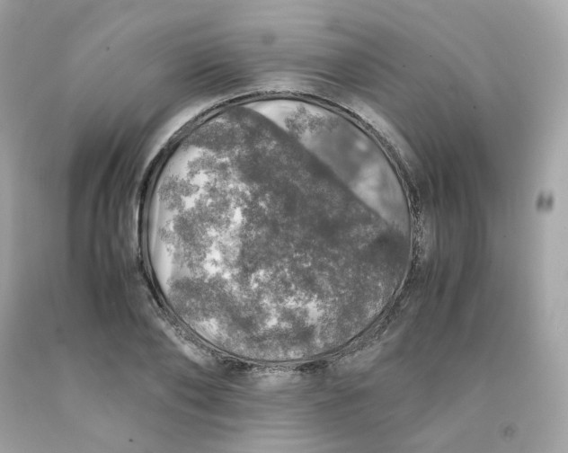 X0000091490886200709061858