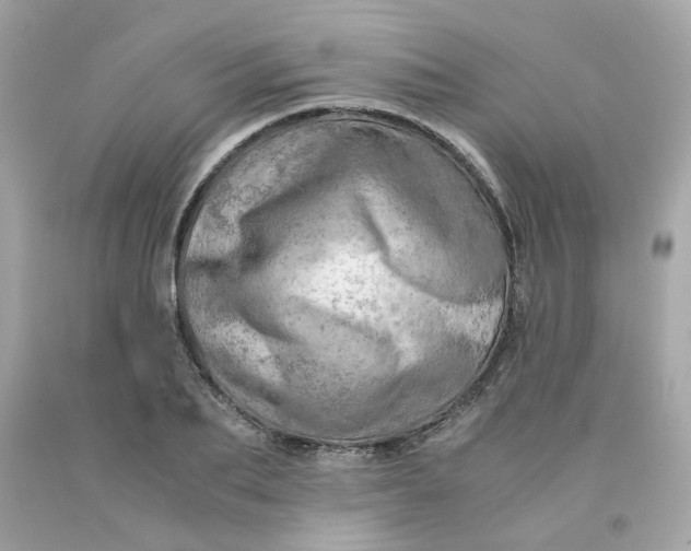 X0000091490887200709061858