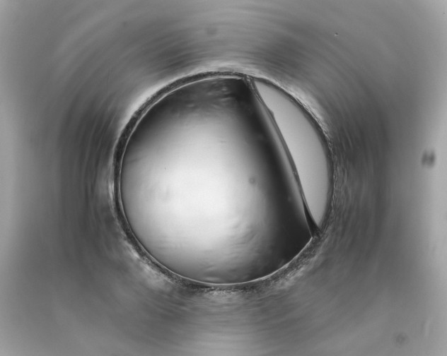 X0000091490888200709061858