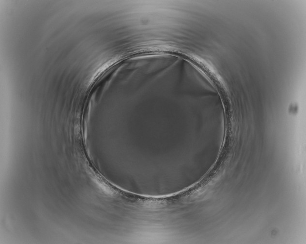 X0000091490889200709061858