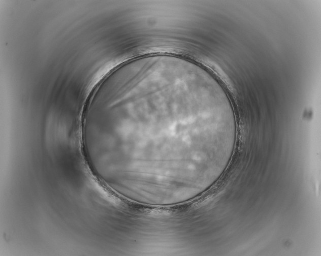 X0000091490890200709061858