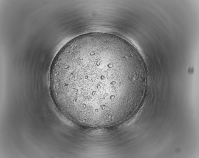 X0000091490891200709061858