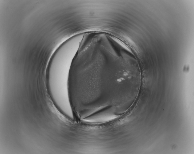 X0000091490892200709061858