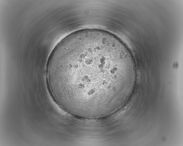 X0000091490895200709061858