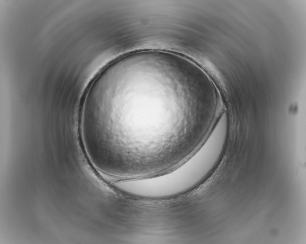 X0000091490896200709061858