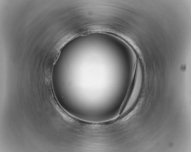 X0000091490897200709061858