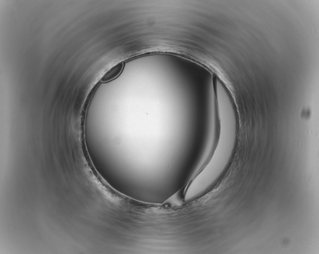 X0000091490898200709061858