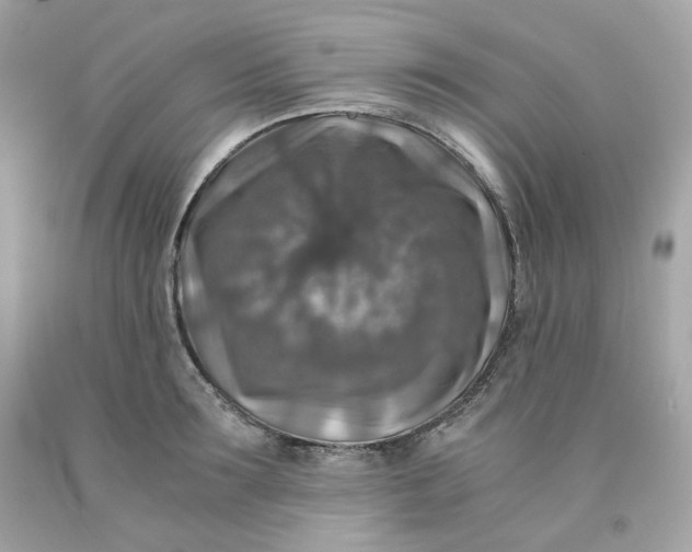 X0000091490899200709061858