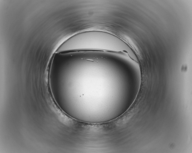 X0000091490900200709061858