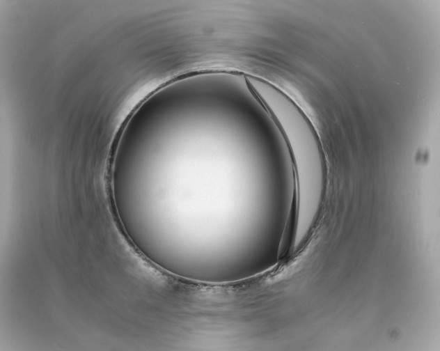 X0000091490901200709061858