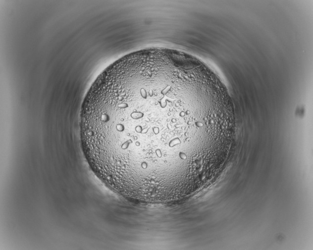 X0000091490903200709061858