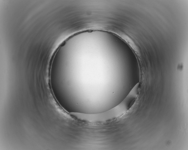 X0000091490904200709061858