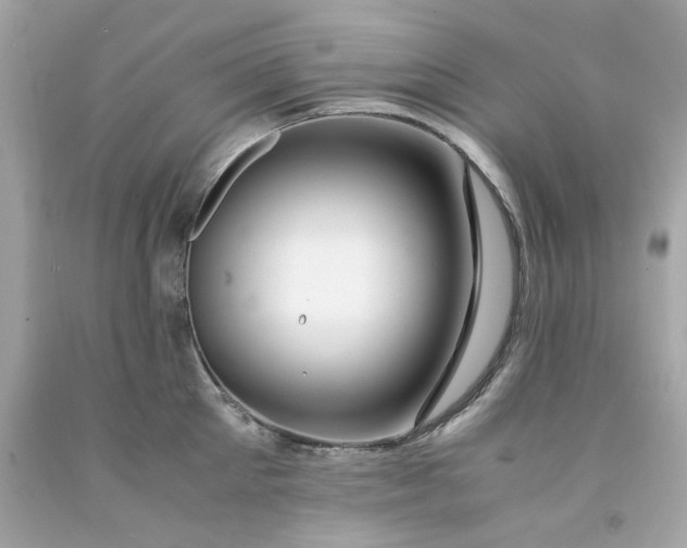 X0000091490905200709061858