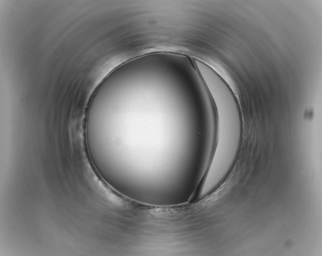 X0000091490906200709061858