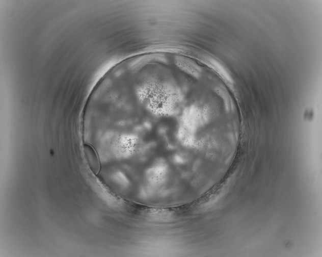 X0000091490907200709061858