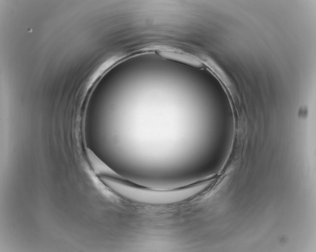 X0000091490909200709061858