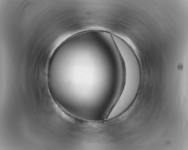 X0000091490910200709061858