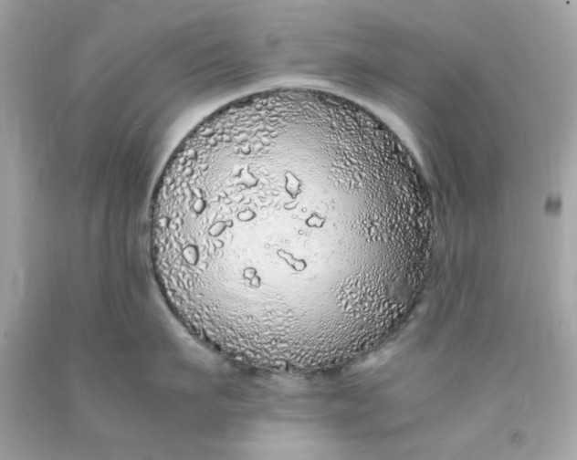 X0000091490911200709061858