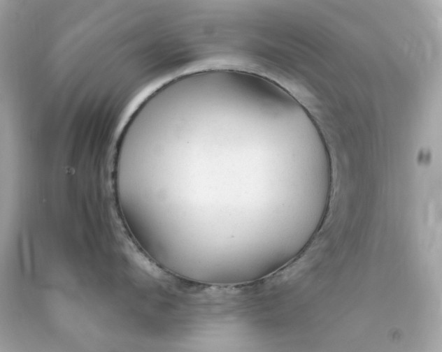 X0000091490912200709061858