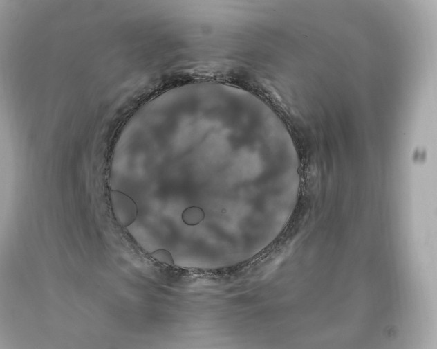 X0000091490913200709061857